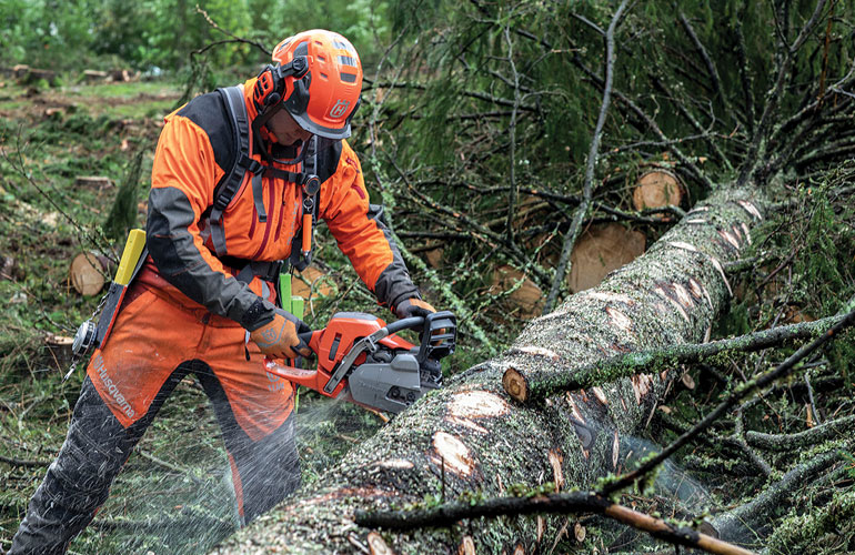 Cut felled timber using a chainsaw and maintain chainsaw